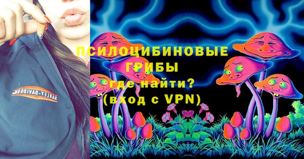 ПСИЛОЦИБИНОВЫЕ ГРИБЫ Вязьма